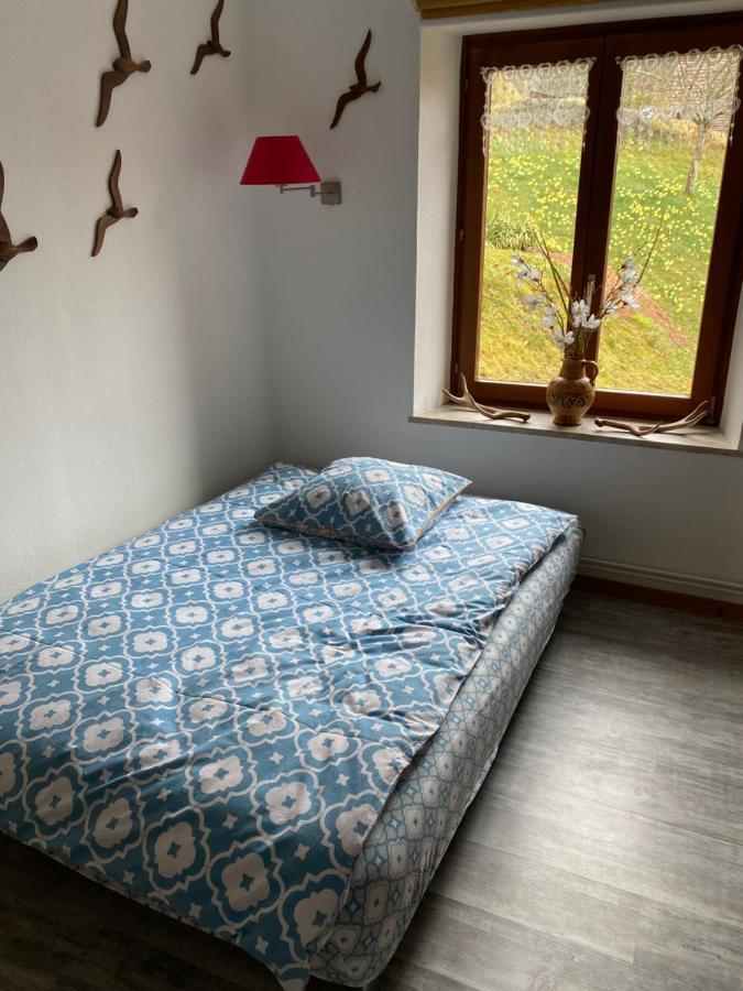 Au Nid Des Pies Apartment Soultzeren ภายนอก รูปภาพ